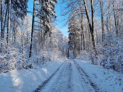 Fotografija s spletne strani Moritz Schneider na poti