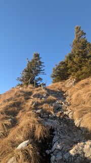 Foto von W.K. entlang der Tour