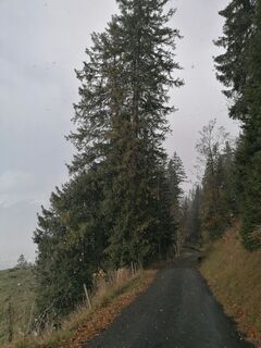 Foto von luyyy entlang der Tour