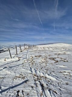 Foto de Arnulf Müller a lo largo del recorrido