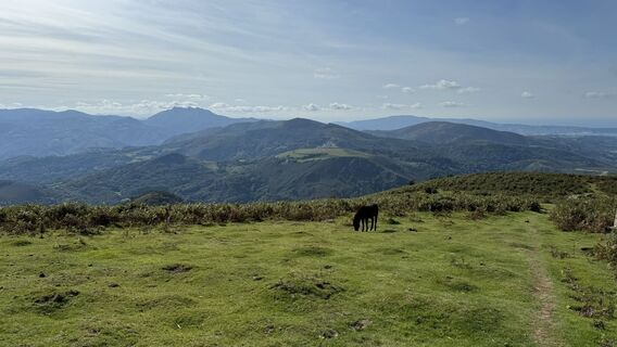 Photo de Fabian Keim le long du parcours