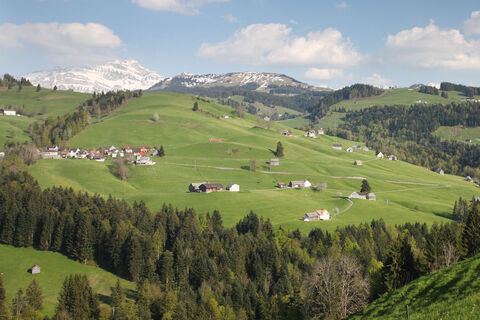 Bächli
