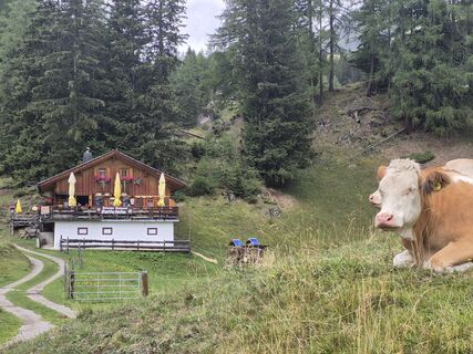 Foto von Burics József entlang der Tour
