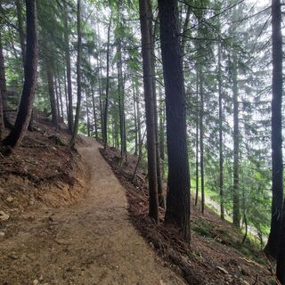 Linkgartner Trail T47