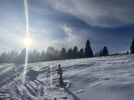 Foto de Amiks a lo largo del recorrido