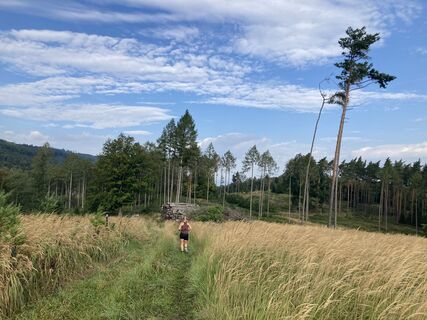 Foto de Reinhard Gugler a lo largo del recorrido