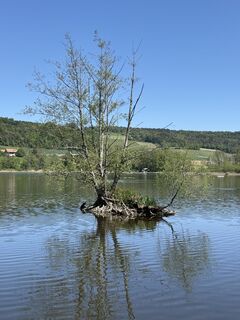 Foto von Babajo entlang der Tour