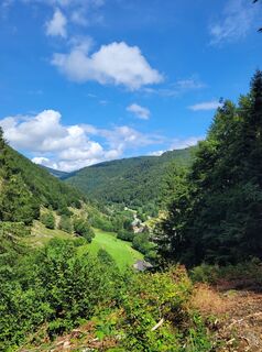 Zdjęcie z Liddeldi wzdłuż trasy