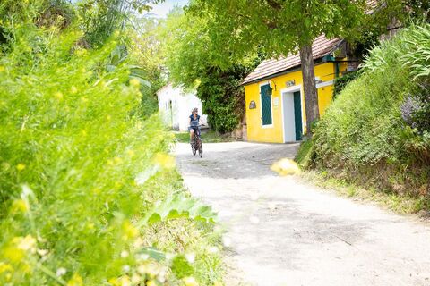 Radfahren entlang der Kellergassen