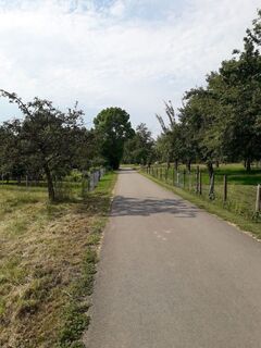 Feldweg Schanbach