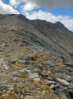 Photo de Lehel Antal le long du parcours