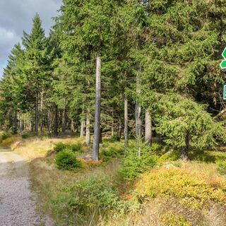 Wegweiser, Wanderung zum Schneekopf, Thüringer Wald