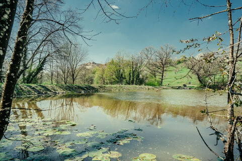 Schloßweiher Ellwangen