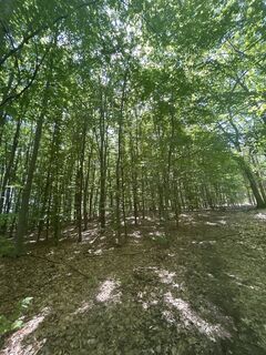 Photo de Robert Christiaans le long du parcours