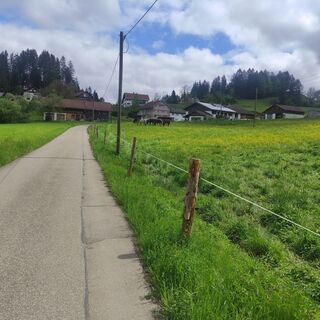 Weide bei Thalendorf