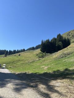 Foto von Giorgia entlang der Tour