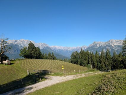 Fotografija s spletne strani Phil na poti
