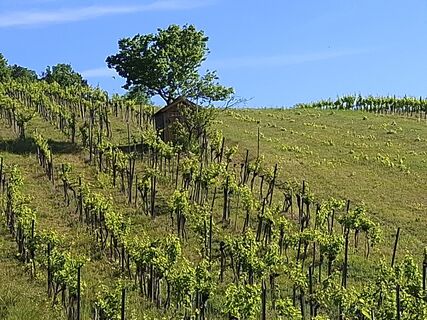 Foto von Martin Penker entlang der Tour