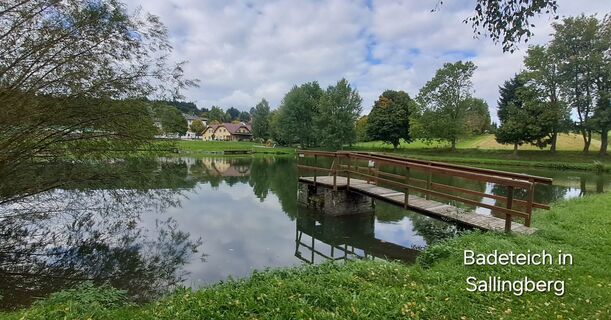 Foto de zirberl a lo largo del recorrido