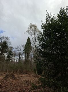 Foto de Keramiek a lo largo del recorrido