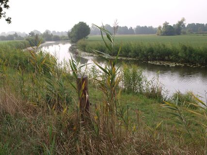 Neetze in der Nähe von Oldershausen