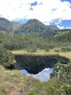 Fotografija s spletne strani Andrea Bleier na poti