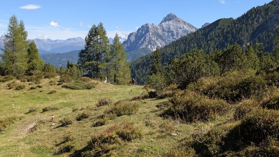 Fotografia z su_dieter na trase