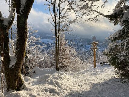 Altenau im Winter
