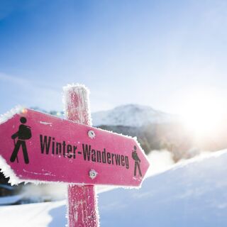 Wegweiser Winterwanderweg