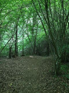 Zdjęcie z roxana62 wzdłuż trasy