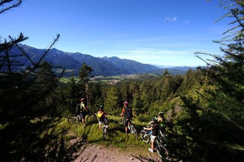 Panorama auf das Val di Fiemme