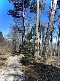 Fotografie z Kellner Heidi na trase