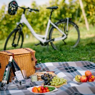 Picknick bei St. Ruprecht an der Raab