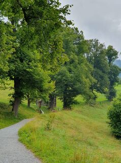 Fotó a Marie-Louise Kohn honlapról a túra során