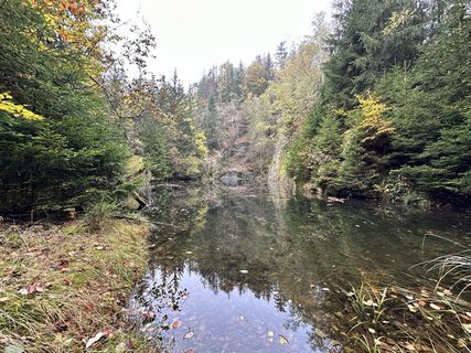 Foto von Norbert Herbig entlang der Tour