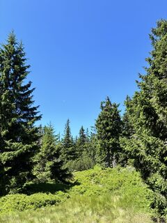 Pec pod Sněžkou, okres Trutnov/Czechia