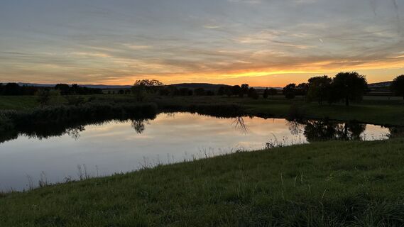 Fotografija s spletne strani Gobi na poti