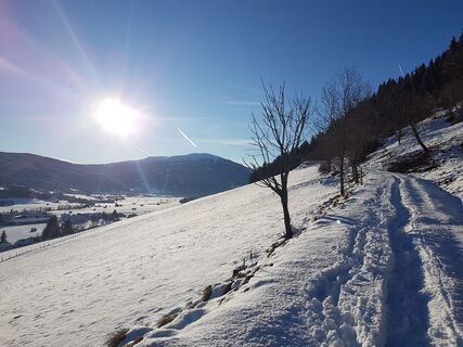 Mitterbergwanderung-Unternberg