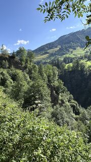 Zdjęcie z Mountain Cat ? ⛰️ wzdłuż trasy