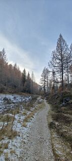 Foto van Daniele Spezia langs de tour