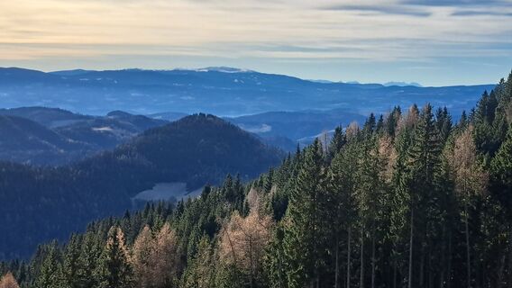 Foto de Thomas Mayer 1 a lo largo del recorrido