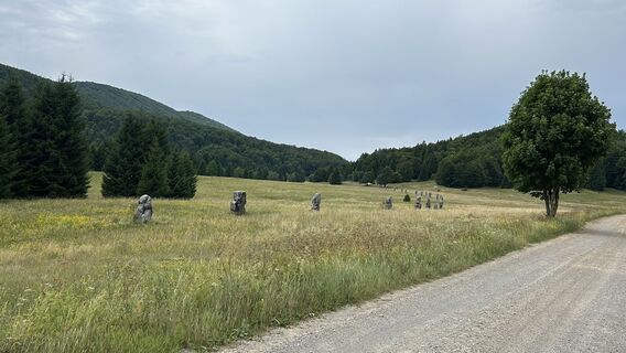 Photo de divancan le long du parcours