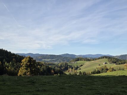Fotografia z Timon Bertignoll na trase