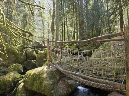 Photo de Michel Kennel le long du parcours