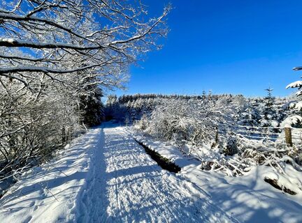 Photo de Les aventures de Ghislain le long du parcours