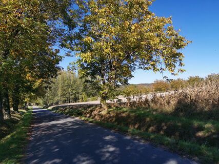 Foto von Guy DUCOURTIEUX entlang der Tour