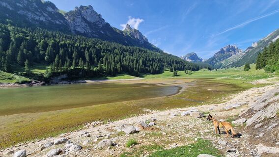 Foto fra Marc Schmidig undervejs på turen