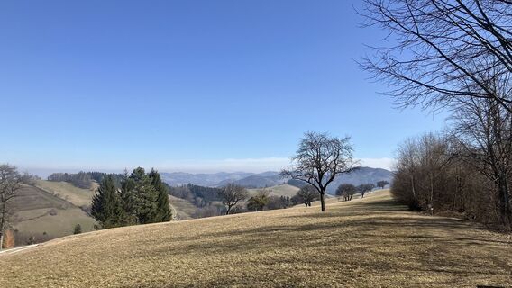 Photo from Christian Kakuska along the tour