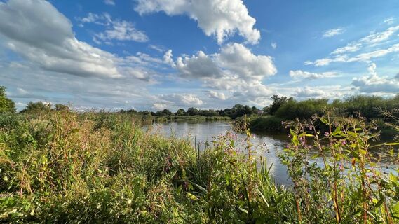 Herbst an der Wümme