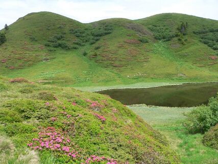 Wanderung zum Zollner See